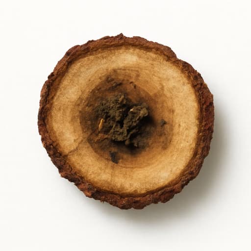 Malaysian Oud