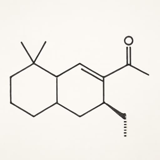 Anthamber™