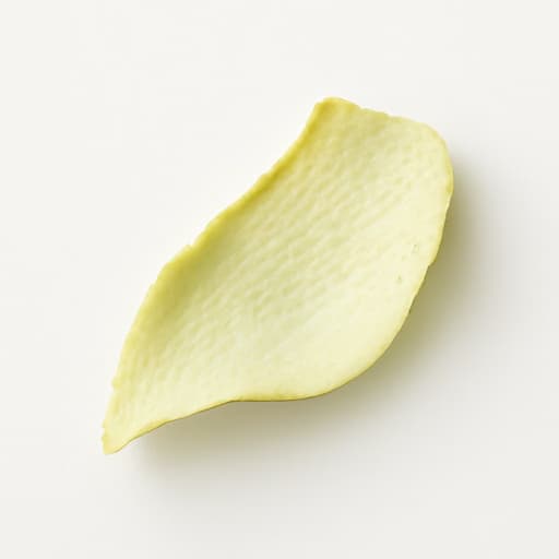 Camphor