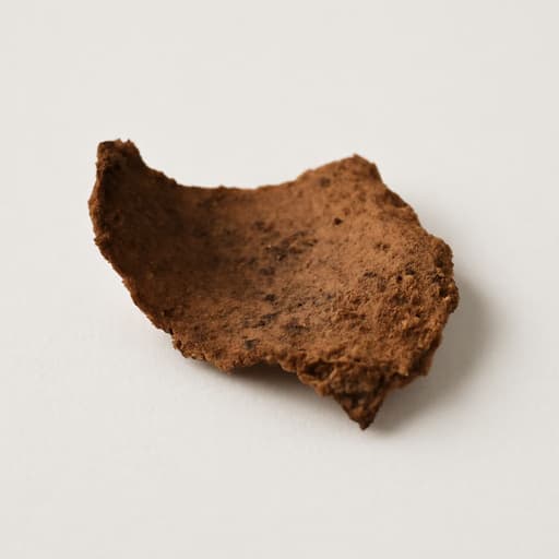 Dirt