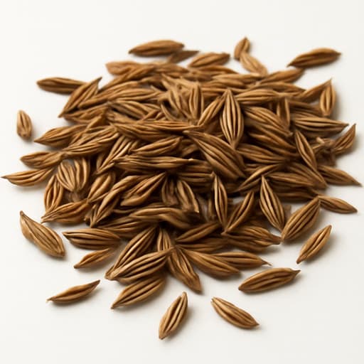 Caraway